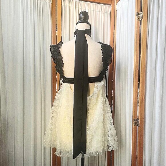 Sold Out ♡ Floral Lace Mini Dress - Picture 2 of 3